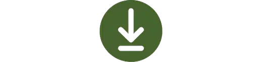 Download Assets Icon