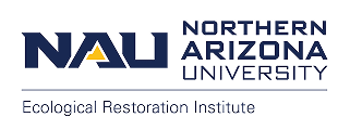 NAUERI Logo