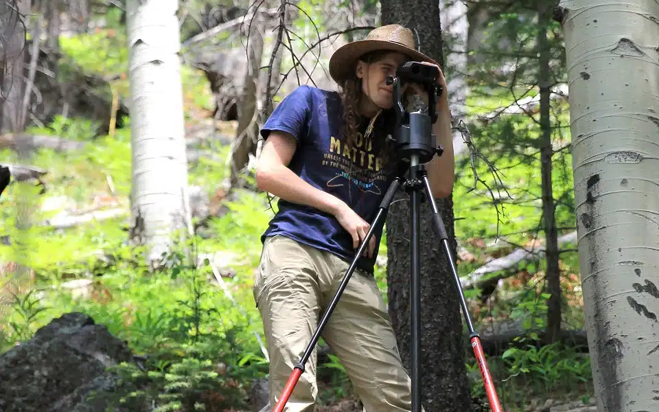 Researcher in the Forest