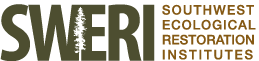 SWERI-Logo-Secondary-4Stack-2Color